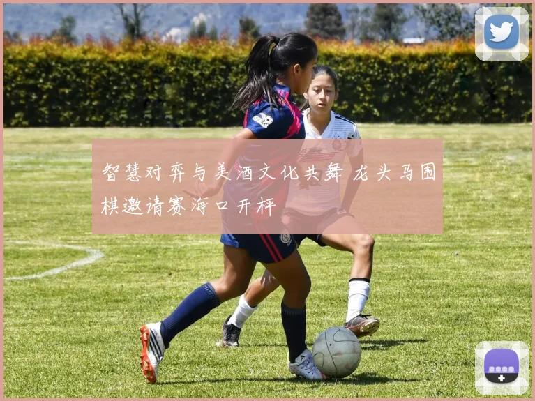 智慧对弈与美酒文化共舞 龙头马围棋邀请赛海口开枰